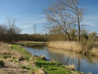 River Avon Countess